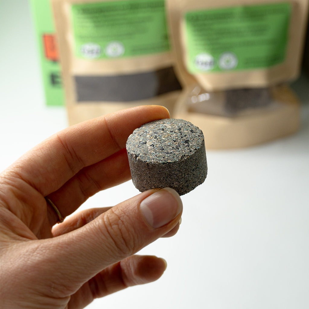 Easy-Growkit von BudVoyage - Komplettes Growset für deine Ernte!