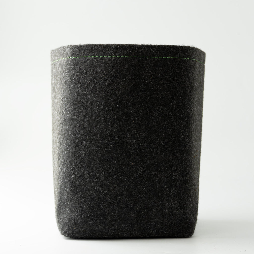 Easy-Growkit von BudVoyage - Komplettes Growset für deine Ernte!