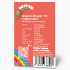 Guava Dwarf Auto