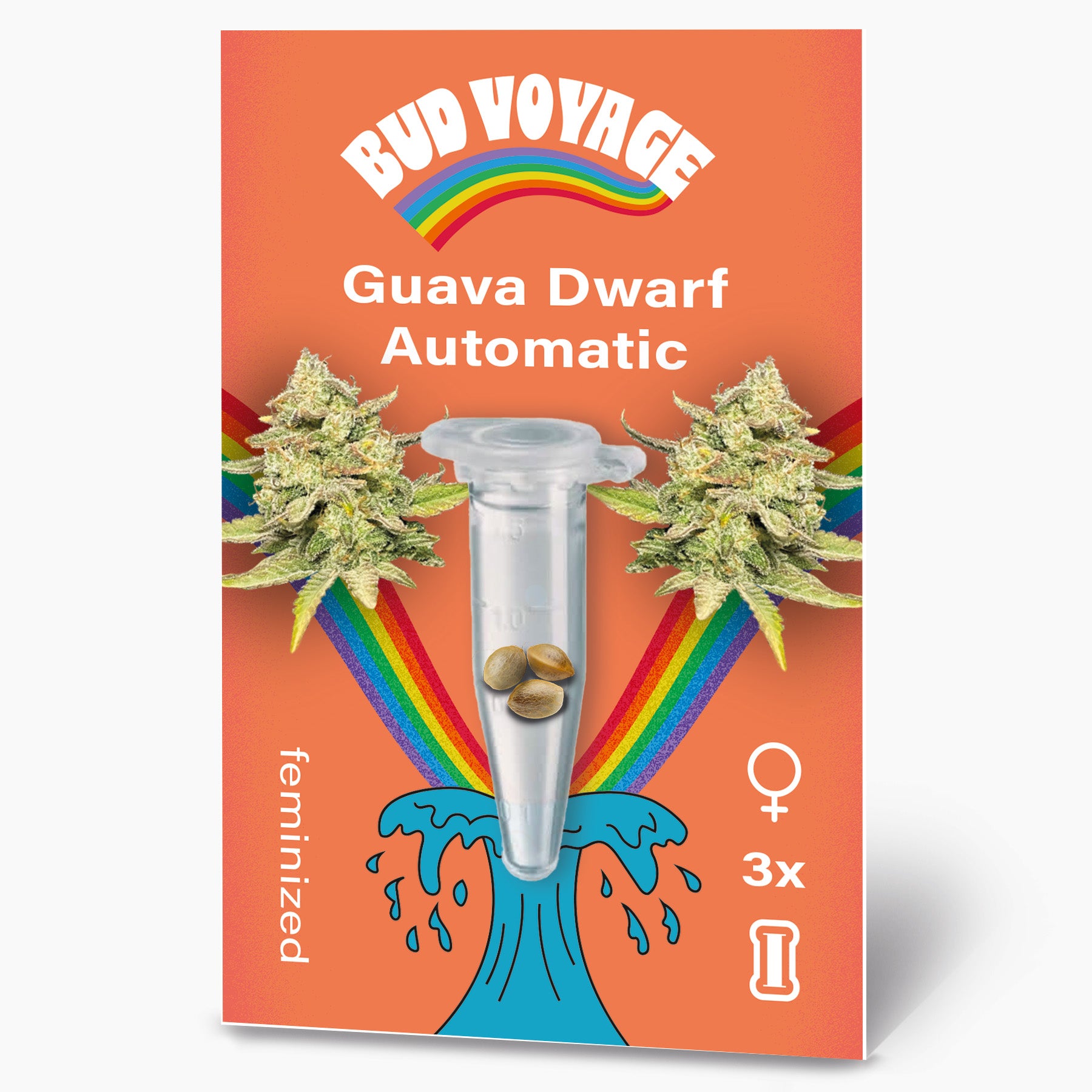 Guava Dwarf Auto Hanfsamen von BudVoyage
