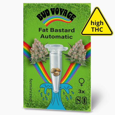 Bud Voyage Samensäckchen:  Grafik zeigt Marihuana-Blüten, drei Samen in einer Glasröhre, einen Regenbogen und einen grünen Rasen, hohe THC Konzentration
