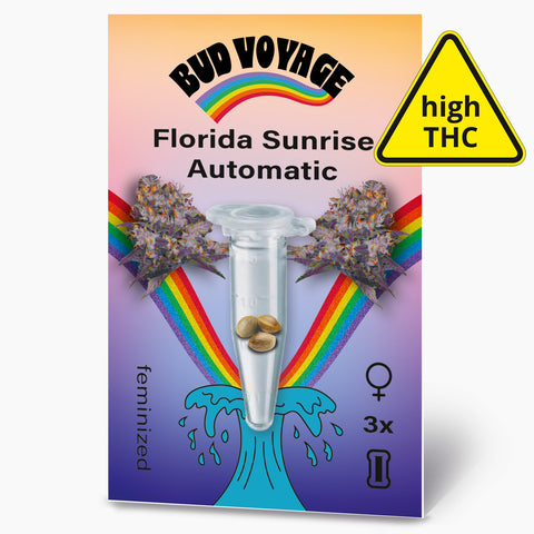 Bud Voyage digital illustration featuring Florida Sunrise Automatic cannabis seeds in a test tube with vibrant rainbow and blue wave details against a purple background.