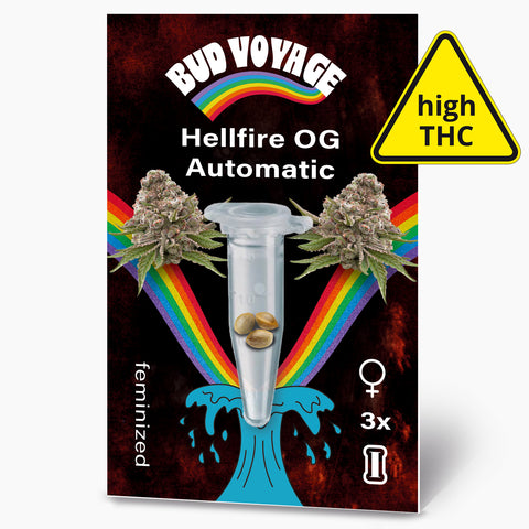 Bud Voyage Hellfire OG Automatic feminized cannabis seeds package showing three seeds in a microtube against a vibrant rainbow and dark background with a high THC warning label
