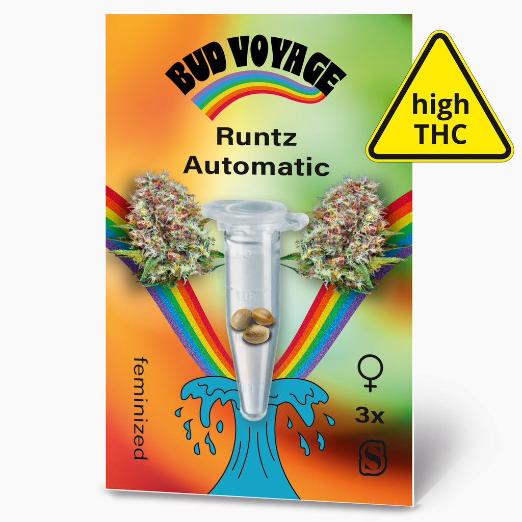 Bud Voyage Samensäckchen: Runtz Automatic Hanfsamen, drei feminisierte Samen in einer Reagenzglas, vor einem Regenbogen und einer blauen Welle mit Marihuana Blüten