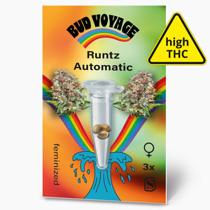 Runtz Auto
