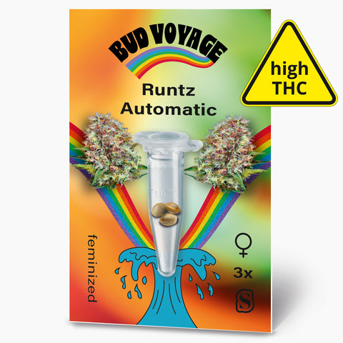 Bud Voyage Samensäckchen: Runtz Automatic Hanfsamen, drei feminisierte Samen in einer Reagenzglas, vor einem Regenbogen und einer blauen Welle mit Marihuana Blüten