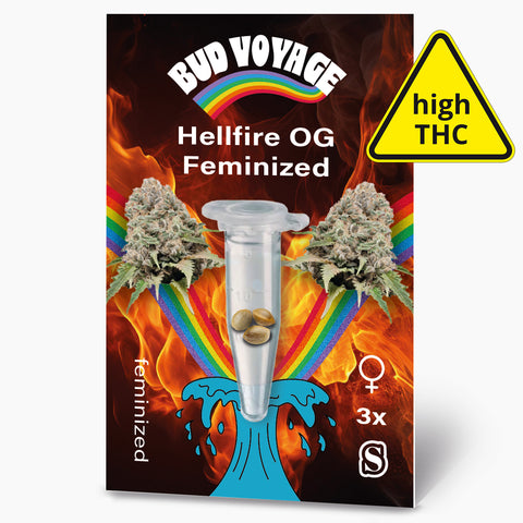 Bud Voyage artwork depicting Hellfire OG feminized cannabis seeds in a test tube against a fiery background with a rainbow and vibrant blue water splash
