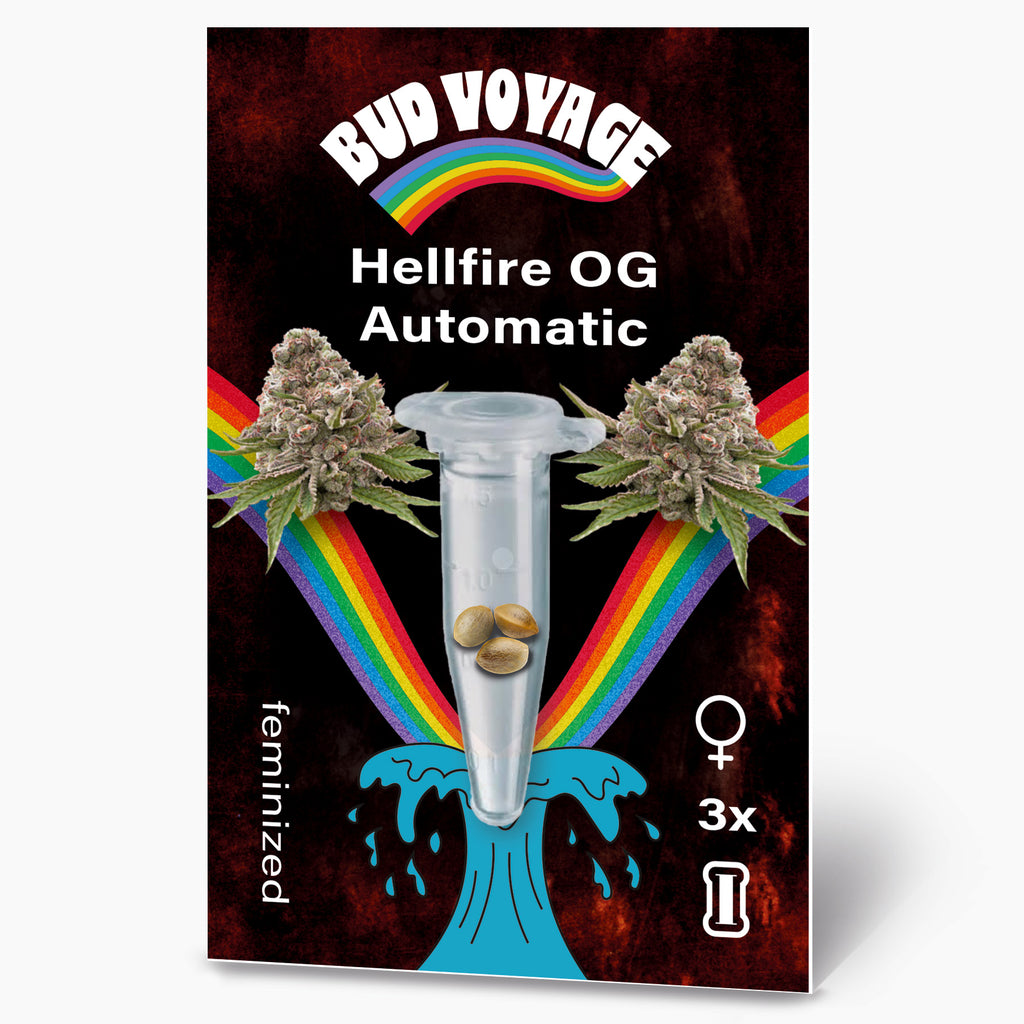 Bud Voyage cannabis seed packaging featuring Hellfire OG Automatic feminized seeds three seeds in a test tube against a vibrant rainbow and dark background with stylized water droplets
