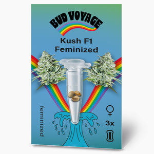 Kush Original F1 Fem