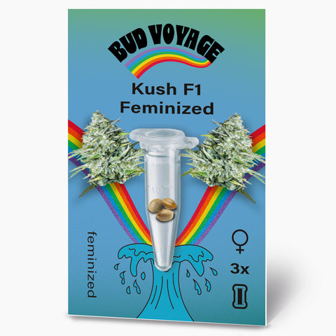 Bud Voyage Kush F1 feminisierte Samenpackung zeigt Marihuana-Blüten, drei Samen in einer Glasröhre, einen Regenbogen und einen Wasserfall auf blauem Hintergrund
