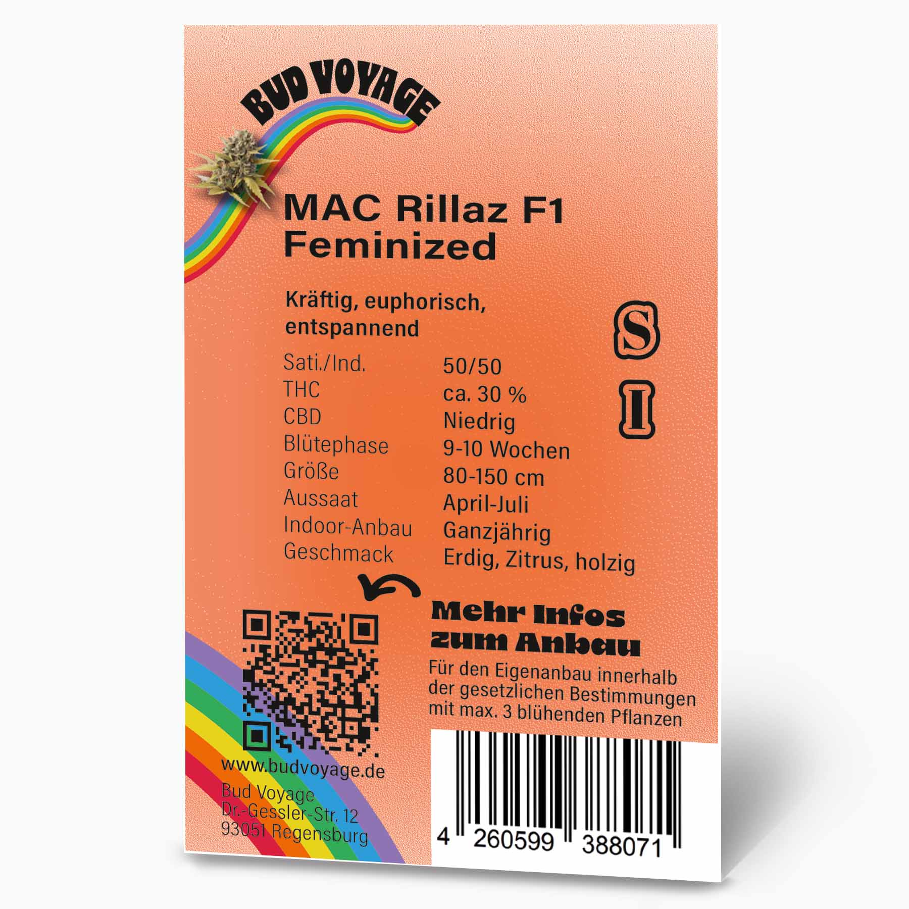 Hanfsamen BudVoyage MAC Rillaz F1 Fem