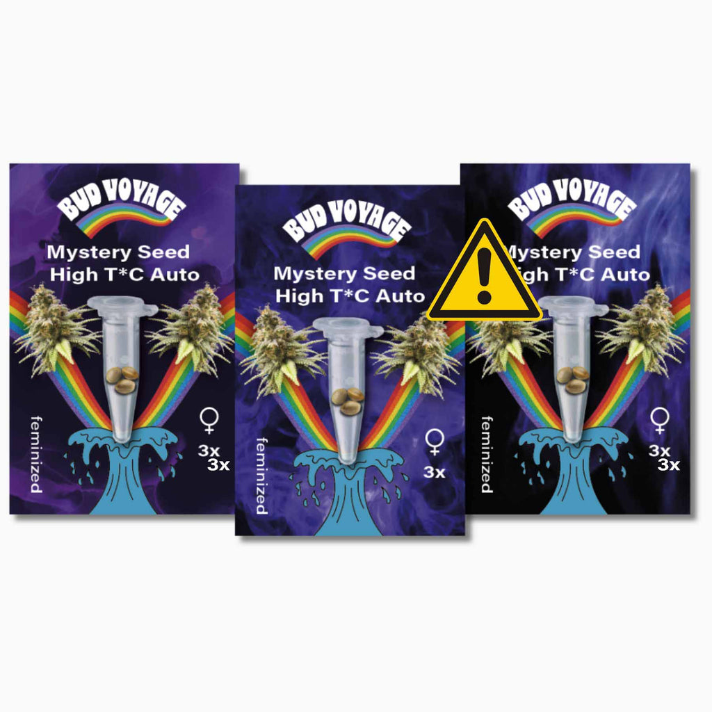 Hanfsamen BudVoyage Mystery Pack - High THC Auto (3x3 Samen)