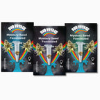 Mystery Pack - Fem (3x3 Samen)