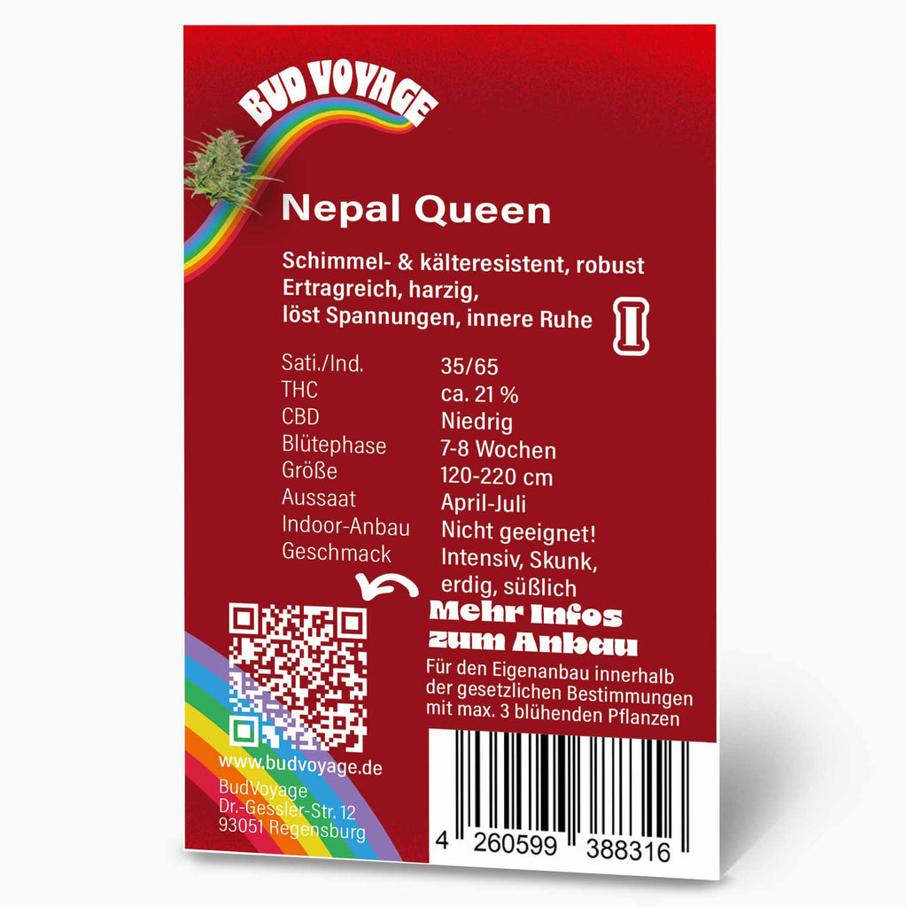 Hanfsamen Nepal Queen Regular von BudVoyage - LIMITIERT (Schimmel- & kälteresistent, beruhigend)