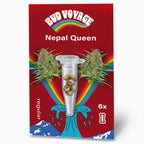 Nepal Queen Regular - LIMITIERT (Schimmel- & kälteresistent, beruhigend)