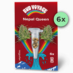 Nepal Queen Regular - LIMITIERT (Schimmel- & kälteresistent, beruhigend)