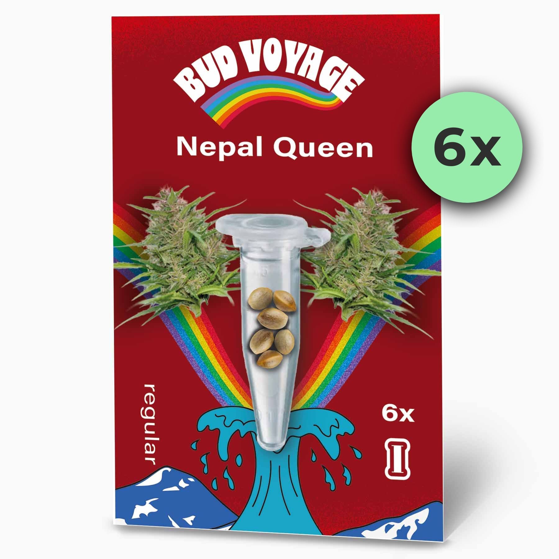 Hanfsamen Nepal Queen Regular von BudVoyage - LIMITIERT (Schimmel- & kälteresistent, beruhigend)