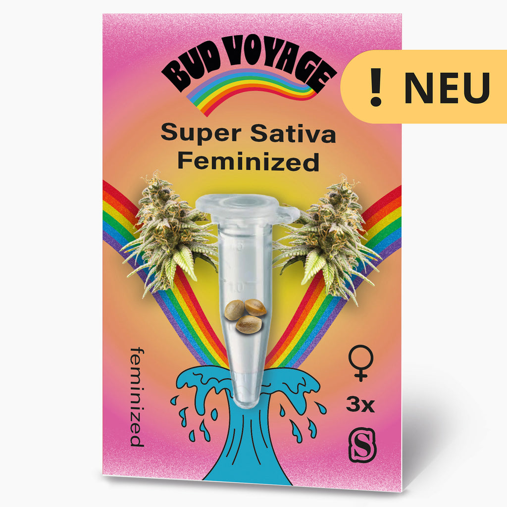 Bud Voyage Samenkollektion:  Super Sativa feminisiert Samen in einer Mikrotesttube vor Regenbogenhintergrund mit zwei Marihuana-Blüten und einem stilisierten Wellendesign
