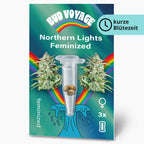Bud Voyage Produktgrafik: feminisierte Northern Lights Hanfsamen vor dem Hintergrund eines Regenbogens und Nordlichtern mit drei Samen in einer Reagenzglas und stylisierten Wellen