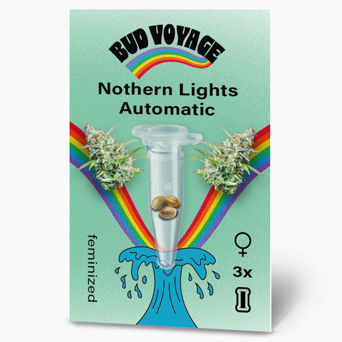 Bud Voyage Illustration: Northern Lights Automatic Hanfsamen in Reagenzglas mit Regenbogen und Wellen, drei feminisierte Samen, pastellgrüner Hintergrund
