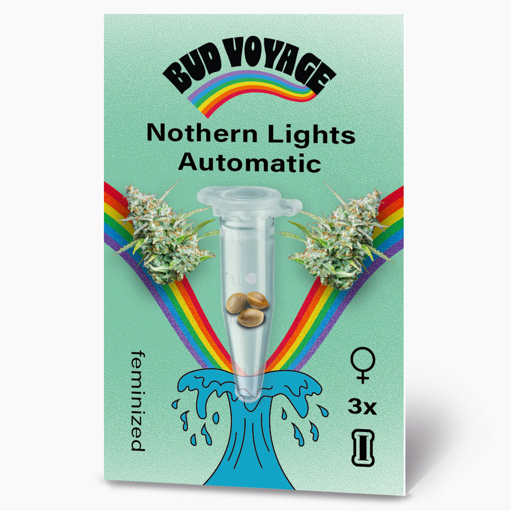 Bud Voyage Grafikdesign: Northern Lights Automatic Hanfsamen in einer Testtube, umgeben von einem Regenbogen und türkisfarbenen Wellen, zeigen drei feminisierte Samen und Marihuana Blüten
