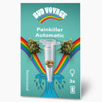 Bud Voyage graphic design Painkiller Automatic feminized cannabis seeds displayed in a test tube with vibrant rainbows and a stylized wave featuring three speckled seeds and teal background
