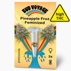 Bud Voyage,  Ananas Fruz feminisierte Samenpackung zeigt Marihuana Blüten, einen Regenbogen und drei Samen in einer Glasröhre auf gelbem Hintergrund
