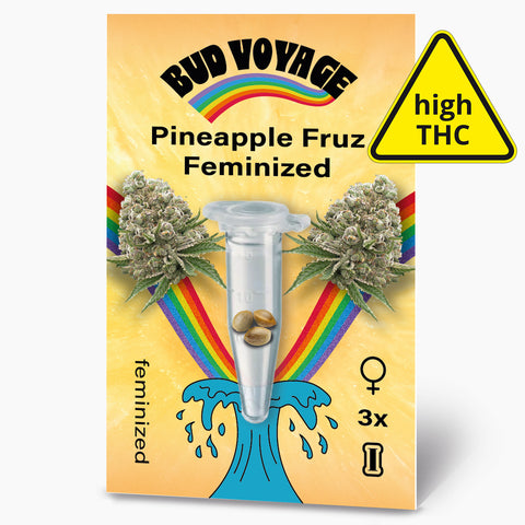 Bud Voyage Pineapple Fruz Feminized cannabis seed packaging shows three seeds in a test tube nestled between two cannabis buds against a rainbow backdrop with a stylized wave and high THC warning
