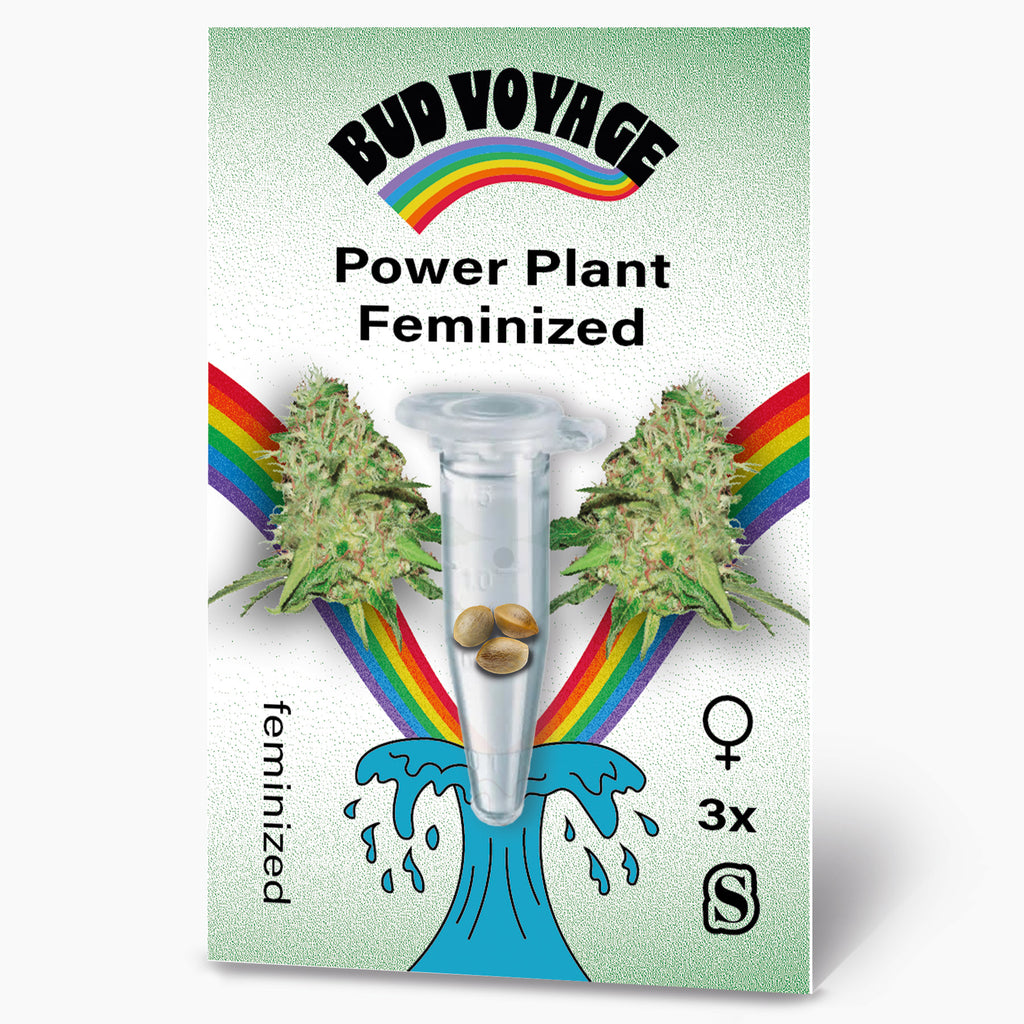 Bud Voyage Power Plant Feminized seed packaging featuring cannabis buds, three seeds in a test tube, a vibrant rainbow, and a stylized wave design

