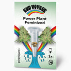 Bud Voyage Power Plant Feminized seed packaging featuring cannabis buds, three seeds in a test tube, a vibrant rainbow, and a stylized wave design
