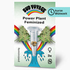 Bud Voyage Power Plant Feminized seed packaging depicts cannabis buds flanking a test tube of seeds against a vibrant rainbow and stylized wave showcasing three feminized seeds a rainbow and a turquoise wave
