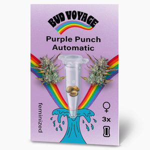 Purple Punch Auto