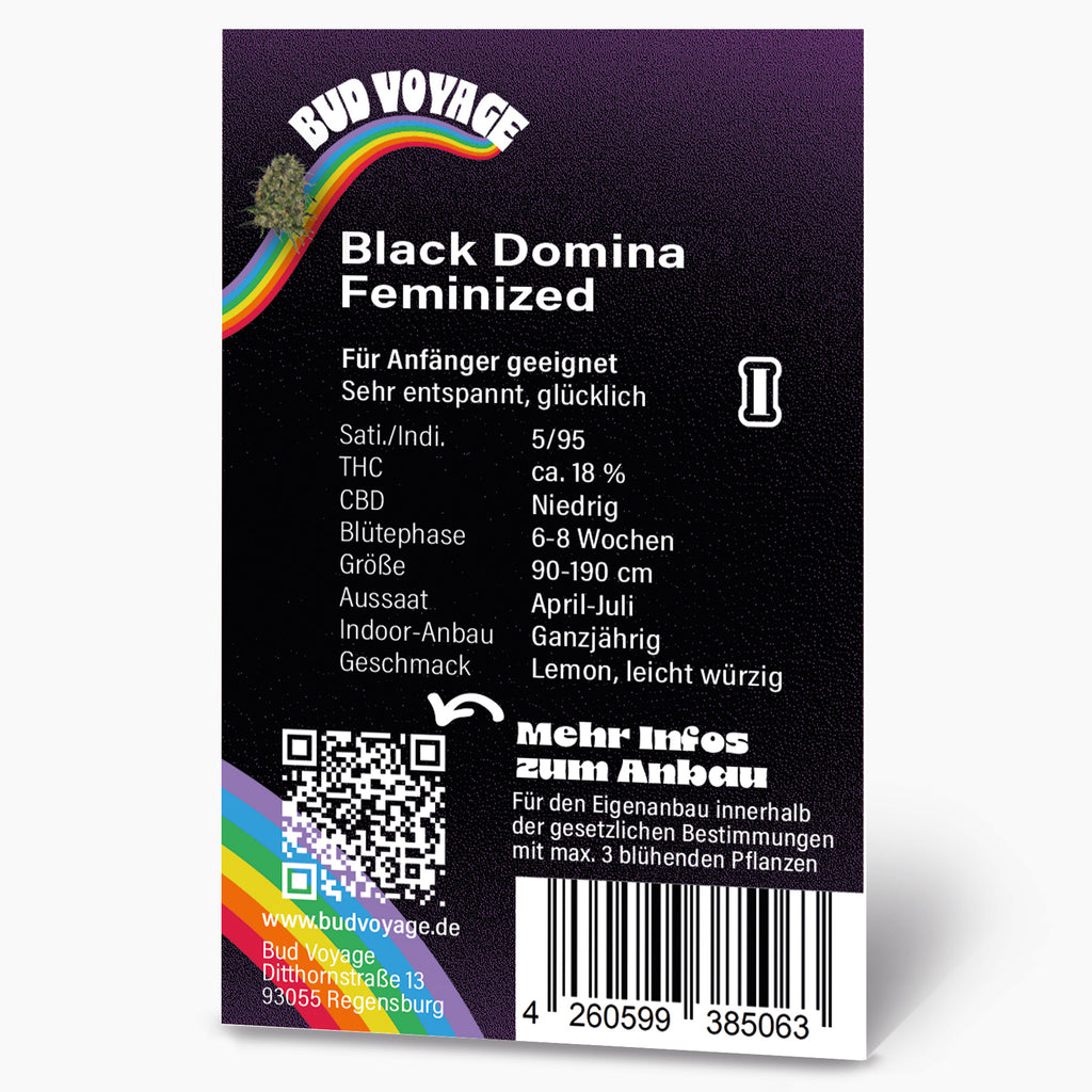 Bud Voyage Grafikdesign: Black Domina feminisierte Cannabis-Samenpackung mit Regenbogen, QR-Code und Produktdetails auf schwarzem Hintergrund
