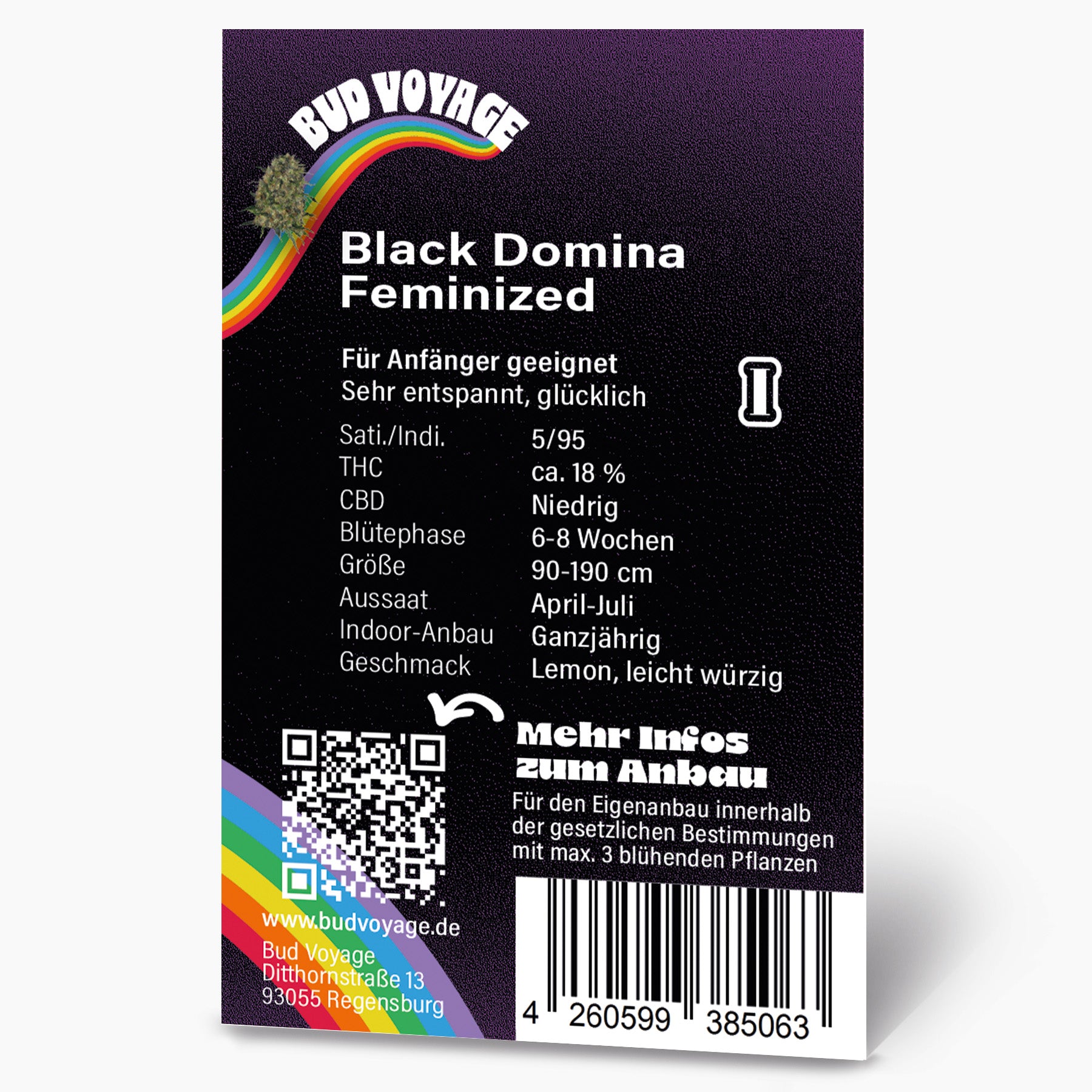 Bud Voyage Grafikdesign: Black Domina feminisierte Cannabis-Samenpackung mit Regenbogen, QR-Code und Produktdetails auf schwarzem Hintergrund
