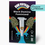 Bud Voyage Grafikdesign: Black Domina feminisierte Hanfsamen in einer Reagenzglas auf schwarzem Hintergrund mit Regenbogen und türkisfarbenen Wellen drei Samen sind sichtbar
