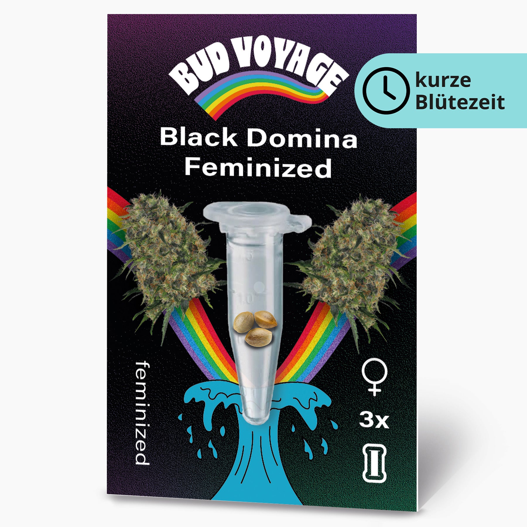 Bud Voyage Grafikdesign: Black Domina feminisierte Hanfsamen in einer Reagenzglas auf schwarzem Hintergrund mit Regenbogen und türkisfarbenen Wellen drei Samen sind sichtbar
