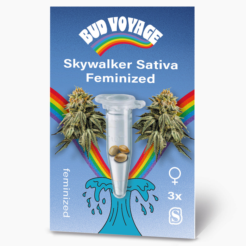Bud Voyage Samensäckchen, zeigt Skywalker Sativa feminisierte Samen in einer Reagenzglas mit einem Regenbogen und einer blauen Welle, drei Samen,  leuchtend grüne Blütenstände
