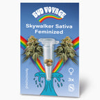 Bud Voyage Samensäckchen, zeigt Skywalker Sativa feminisierte Samen in einer Reagenzglas mit einem Regenbogen und einer blauen Welle, drei Samen,  leuchtend grüne Blütenstände
