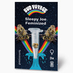 Bud Voyage graphic design featuring Sleepy Joe Feminized cannabis seeds in a test tube against a starry night sky with vibrant rainbows and stylized water droplets
