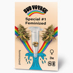 Bud Voyage Seed-Pack Grafikdesign: feminisierte Cannabis Samen in einer Reagenzglas, umgeben von Regenbögen und einer blauen Welle mit drei Samen, die weibliche Blütenstände zeigen
