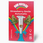 Bud Voyage Grafikdesign:  Strawberry Smile Automatic Hanfsamen in einer transparenten Testtube vor Regenbogen und maritimen Wellenmuster, drei feminisierte Samen in lebendigen Farben auf rotem Hintergrund
