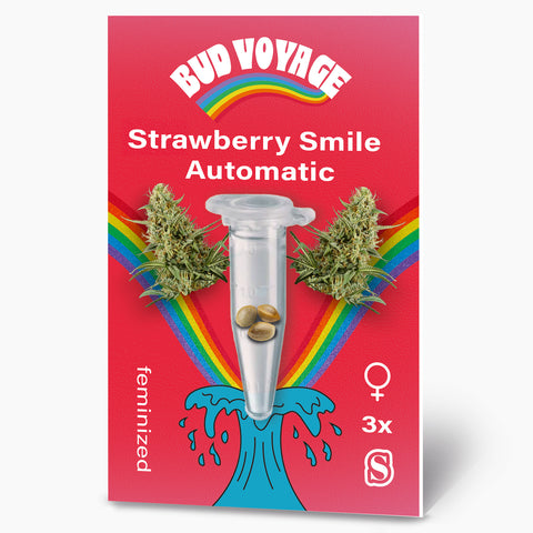 Bud Voyage Grafikdesign:  Strawberry Smile Automatic Hanfsamen in einer transparenten Testtube vor Regenbogen und maritimen Wellenmuster, drei feminisierte Samen in lebendigen Farben auf rotem Hintergrund
