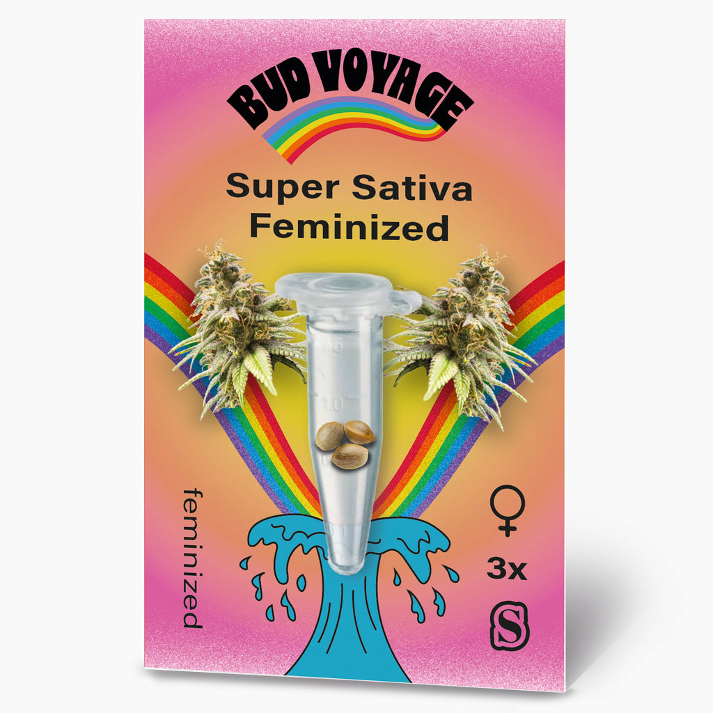 Bud Voyage Saatgutpackung: Super Sativa feminisierte Samen in einer durchsichtigen Mikro-Tube, umgeben von marihuanablüten und einem Regenbogen, drei Samen in leuchtenden Farben und einem stilisierten Wellenmuster
