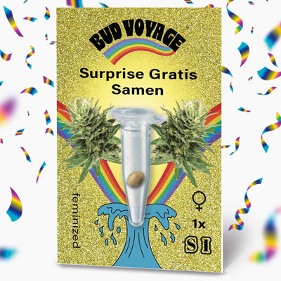 Bud Voyage Überraschungs-Gratis-Samenpackung zeigt Marihuana-Samen in einer Mikro-Röhre, flankiert von zwei Cannabis-Pflanzen, einem Regenbogen und Konfetti auf goldfarbenem Glitzerhintergrund
