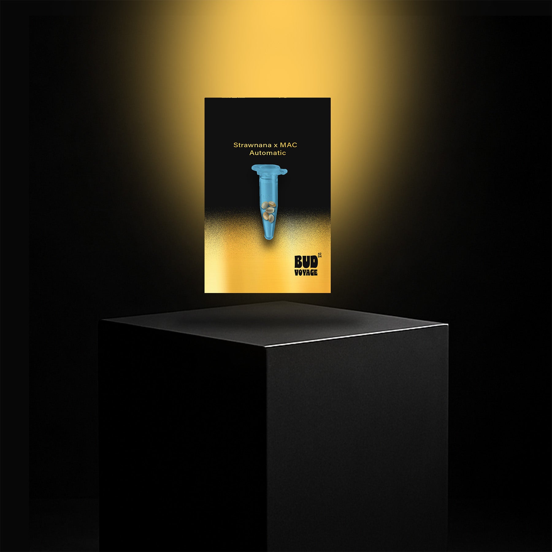 Digitale Kunst von Bud Voyage zeigt ein Reagenzglas mit Hanfsamen auf goldenem Hintergrund vor schwarzem Kubus mit goldenen und blauen Akzenten