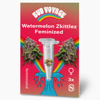 Bud Voyage Grafikdesign: Watermelon Zkittlez feminisierte Samen, drei Samen in einer Reagenzglas auf rotem Hintergrund mit Regenbogen und türkisfarbener Welle,  Marihuana Blüten und  Samen sind sichtbar
