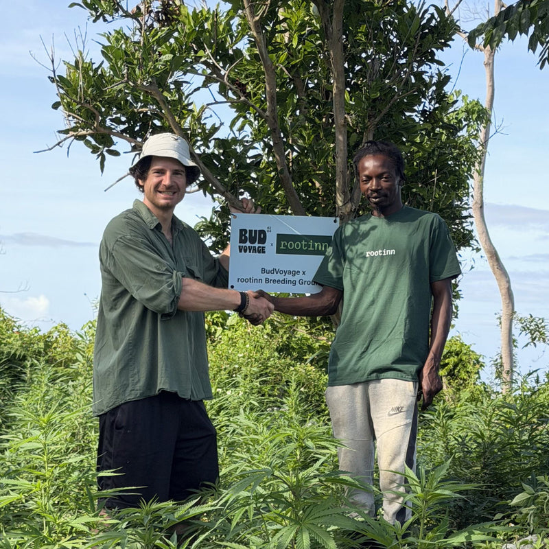 Breeding & Cultivating
