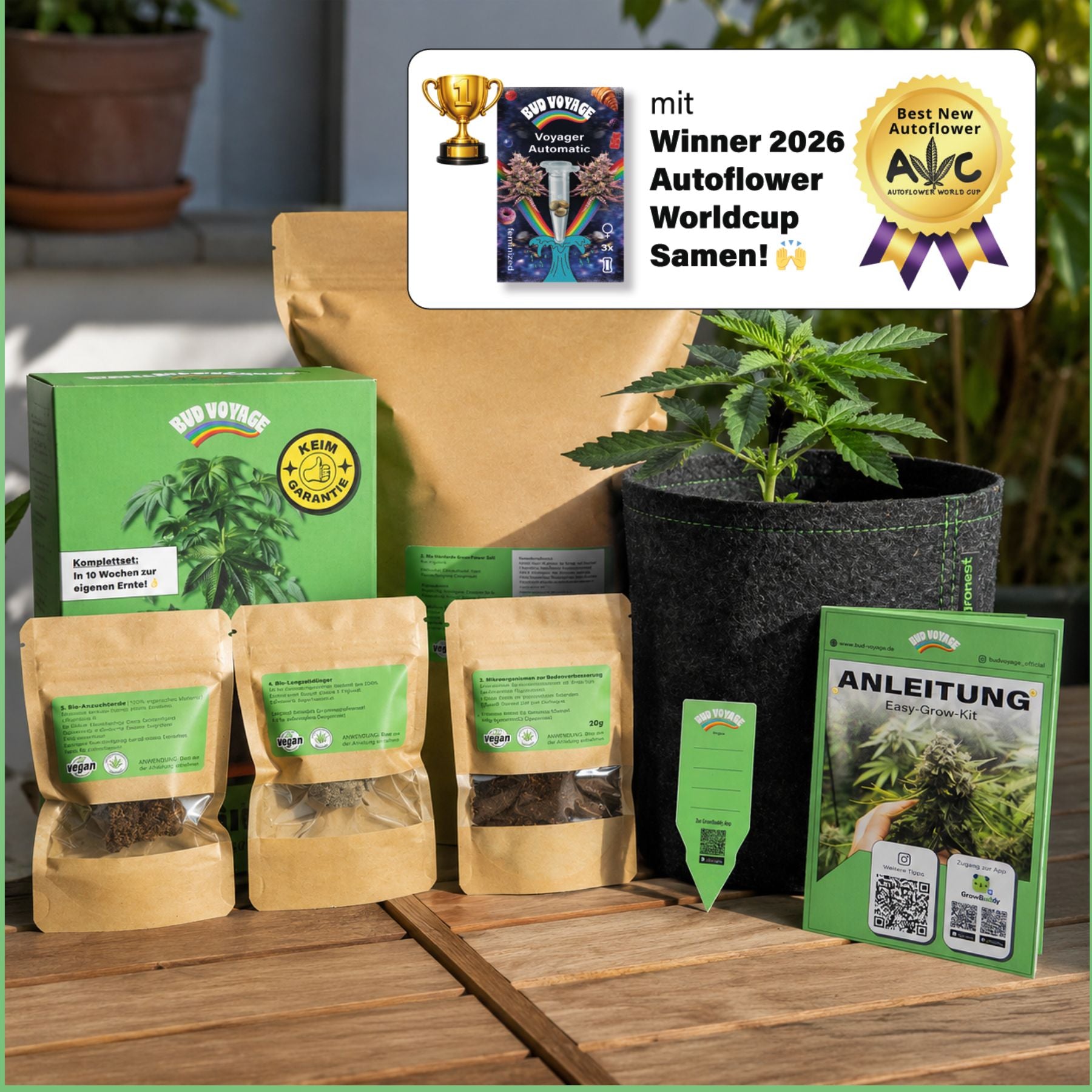 Easy-Growkit BudVoyage INKL. SAMEN - komplettes Growset speziell für Automatics - perfekt für Anfänger!