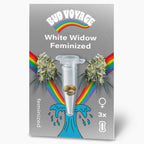 Bud Voyage Grafikdesign:  White Widow feminisierte Samen in einer Testtube, umgeben von Regenbögen und Marihuana-Blüten, zeigt drei Samen und einen hellblauen Wasserstrahl
