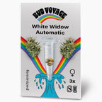 Bud Voyage Grafikdesign: White Widow Automatic Samen, drei feminisierte Samen in einer Testtube, umgeben von Regenbogen und maritimen Wellenelementen, zeigen Cannabisblüten
